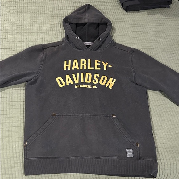 Harley-Davidson Charcoal Hoodie with Gold Lettering - Picture 1 of 3